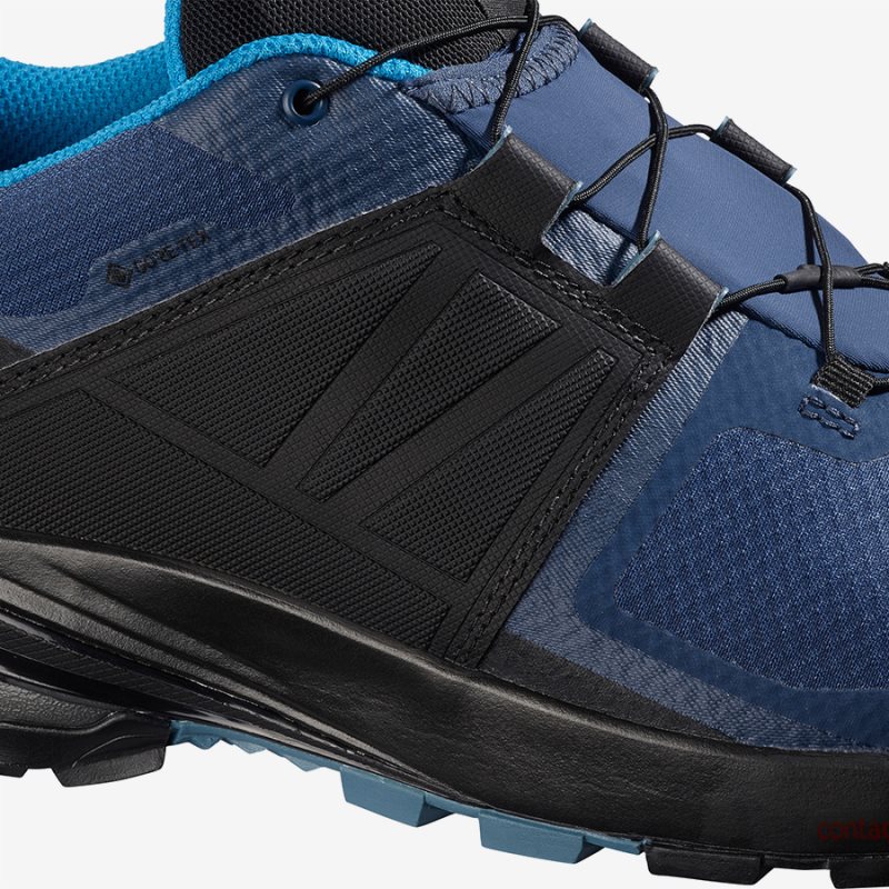 Chaussure Trail Salomon XA WILD GTX Bleu Homme | CFF-9195281