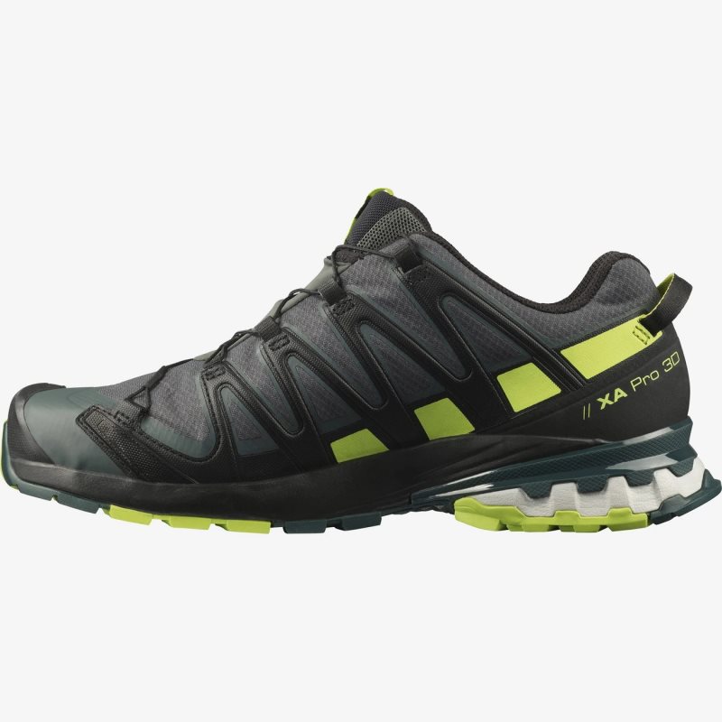 Chaussure Trail Salomon XA PRO 3D v8 GORE-TEX Noir Homme | GNE-1347609