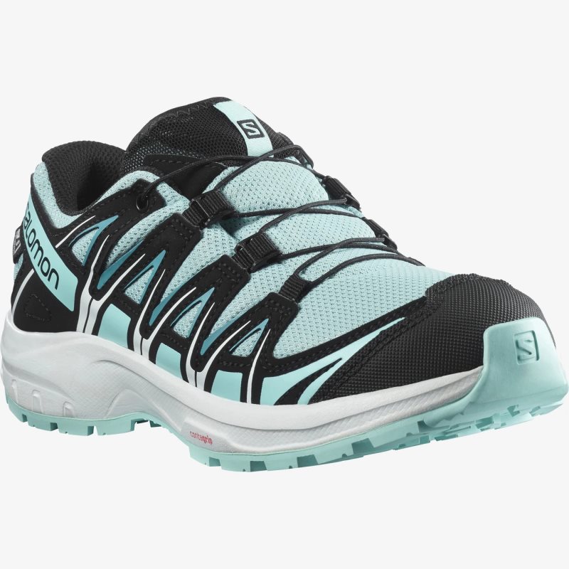 Chaussure de Randonnée Salomon XA PRO 3D CLIMASALOMON WATERPROOF Turquoise/Noir Enfant | NPC-2972944