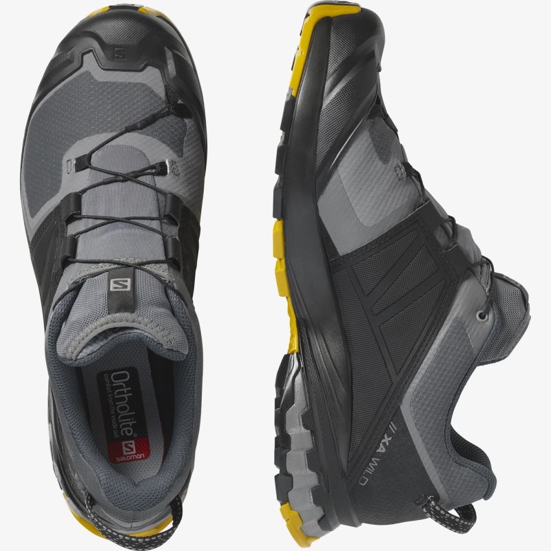 Chaussure Trail Salomon XA WILD GORE-TEX Noir/Grise Homme | RIL-5152048