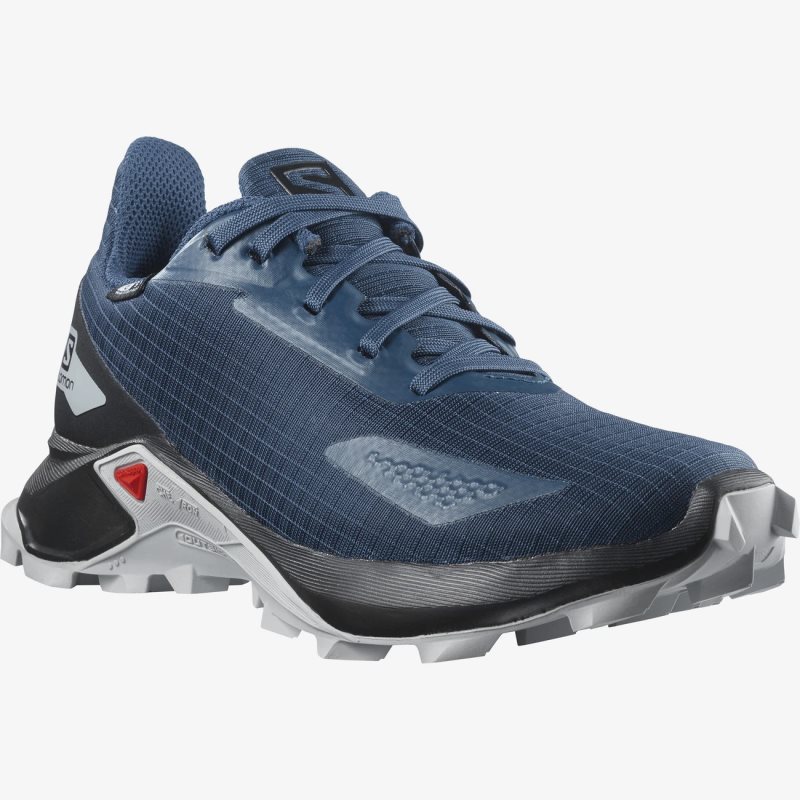 Chaussure Trail Salomon ALPHACROSS BLAST CLIMASALOMON WATERPROOF Bleu Marine Enfant | MIJ-3409126