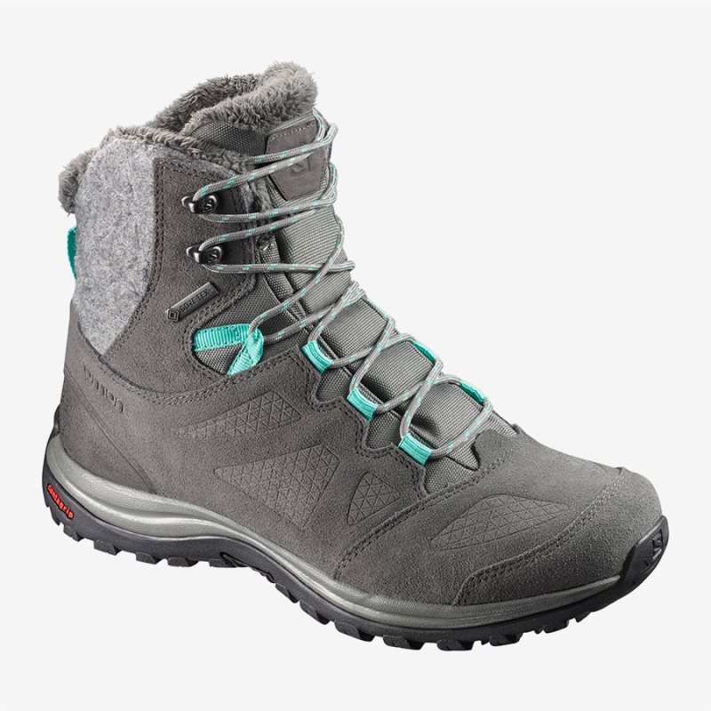 Chaussure de Randonnée Salomon ELLIPSE WINTER GTX Grise Femme | KVT-9799202