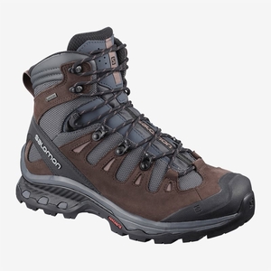 Chaussure de Randonnée Salomon QUEST 4D 3 GTX W Chocolat Femme | VGO-3681330