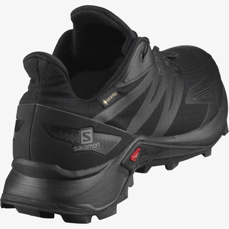 Chaussure Trail Salomon SUPERCROSS BLAST GTX Noir Homme | SCN-3418343